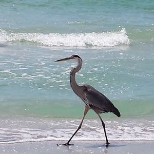 Meet your Posher, Ivette